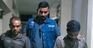 মুন্সিগঞ্জে গরুর খামারে ডাকাতি, গ্রেফতার দুই