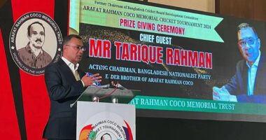 এখন দেশ গড়ার সময়,সকলে কাঁধে কাঁধ মিলিয়ে দেশটাকে গড়তে হবে : তারেক রহমান
