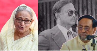 জিয়াউর রহমানের হত্যাকাণ্ডে জড়িত ছিলেন শেখ হাসিনা : অলি আহমদ
