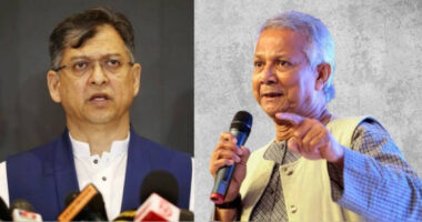 ড. ইউনূসের পদত্যাগ চায় না বিএনপি: সালাহউদ্দিন আহমেদ