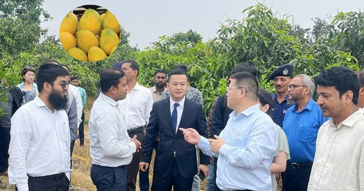 আজ বাংলাদেশ থেকে প্রথমবারের মতো চীনে আম রপ্তানি হচ্ছে
