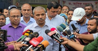 প্রবাসীরা দেশে এসে সঠিক চিকিৎসা পায় না,তাই তাদের জন্য দেশে হাসপাতাল নির্মাণ করা হবে : আসিফ নজরুল