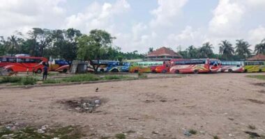 ভোলায় বাস ধর্মঘট প্রত্যাহার, ৫ রুটে বাস চলাচল শুরু