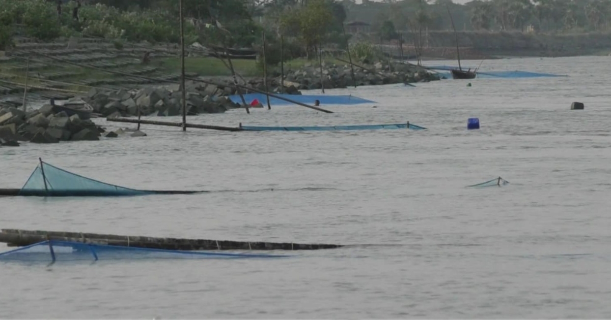 নিষিদ্ধ জালে রেনু পোনা নিধন