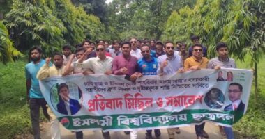 `ছাত্রদলের রক্ত এত মিষ্টি কেনো? কই শিবির-ছাত্রলীগ তো মরে না' -ইবি ছাত্রদল নেতা