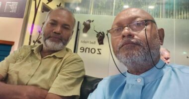 আন্দোলনের মুখে ববির ট্রেজারার পদ থেকে পবিপ্রবির অধ্যাপক মামুনকে অপসারণ