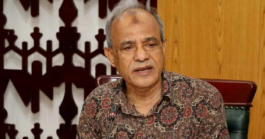 ‘সাবেক রাষ্ট্রপতি হামিদের দেশত্যাগ নিয়ে ৩ দিনের মধ্যে রিপোর্ট দেবে কমিটি’