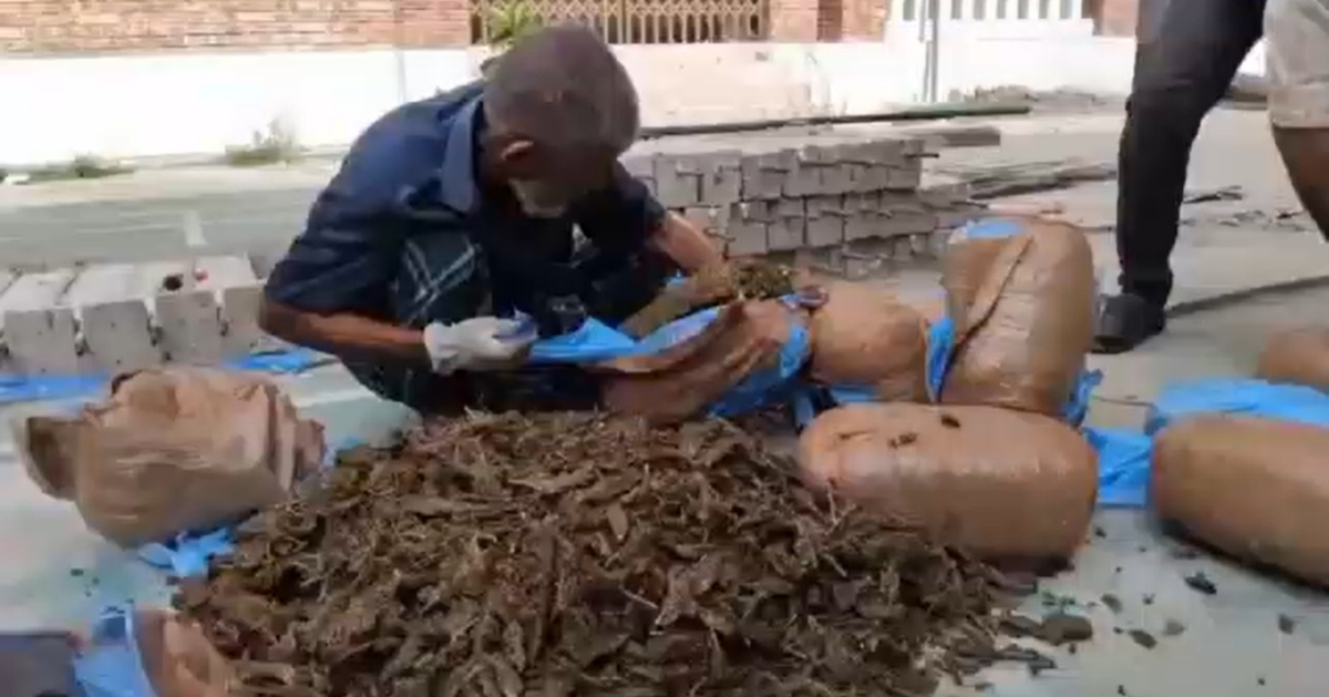 মুন্সিগঞ্জে ৫৫ লক্ষ টাকার মাদক ধ্বংস
