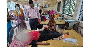 পারিবারিক দ্বন্ধে চাচীকে ধারালো অস্ত্র দিয়ে কুপিয়ে জখম
