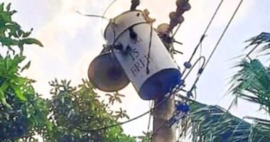 মুন্সিগঞ্জ ট্রান্সফরমার চুরি করতে গিয়ে বিদ্যুতায়িত হয়ে দুই চোর গুরুতর আহত