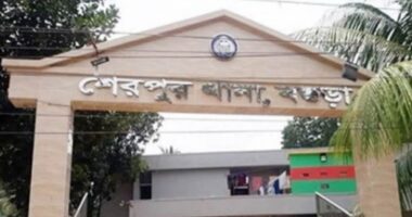 শেরপুরে পাঁচ কেজি গাঁজাসহ দুই মাদককারবারি গ্রেফতার