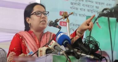 যতবার বাংলাদেশের মানুষ পথ হারিয়েছে, ততবার আলোর পথে পথ দেখিয়েছেন জিয়াউর রহমান, জিয়া পরিবার : রুমিন ফারহানা