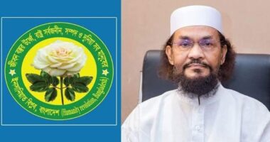 ডিসেম্বরের মধ্যেই নির্বাচন চায় ইনসানিয়াত বিপ্লব বাংলাদেশ