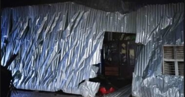 রাজবাড়ীর বালিয়াকান্দিতে ঝড়ে গাছ পড়ে গৃহবধুর মৃ'ত্যু