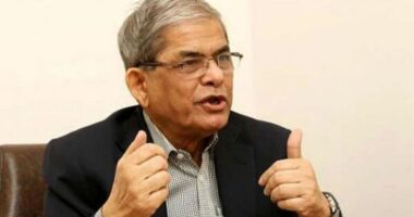 বিএনপির বরাবরই দাবি ছিল ডিসেম্বরে নির্বাচন, প্রত্যাশা পূরণ হয়নি : মির্জা ফখরুল
