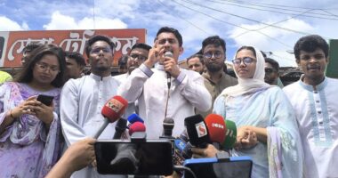 কোনো অপশক্তিকেই শেখ হাসিনার চেয়ে বেশি শক্তিশালী ভাবার কারণ নেই : সারজিস আলম