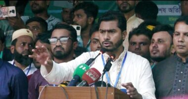 এখন অনেকেই বিকাশ নুর বলে অনলাইনে কটাক্ষ করে গালি দেয় : নুরুল হক নুর