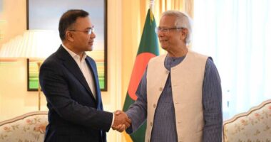 আম্মা আপনাকে সালাম জানিয়েছেন : তারেক রহমান