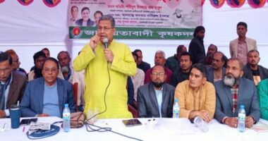 একতাবদ্ধ হয়ে থাকুন, যথাসময়ে জাতীয় নির্বাচন অনুষ্ঠিত হবে : কৃষক দলের সাধারণ সম্পাদক