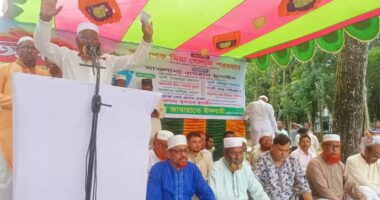 দেশের স্বার্থে যেকোনো রাজনৈতিক দলের সঙ্গে ঐক্যে যেতে রাজি জামায়াত : গোলাম পরওয়ার