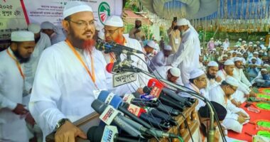 বিএনপি-আওয়ামী লীগ একই গাছের দুটি ফুল : মুফতি ফয়জুল করিম