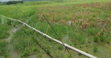 মুন্সিগঞ্জে কৃষি জমি কেটে কৃষি জমি ভরাট