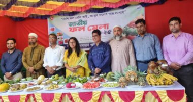 বাসাইলে ৩ দিনব্যাপী জাতীয় ফল মেলার উদ্বোধন