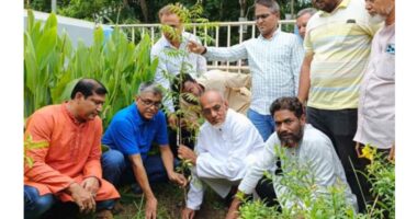 বিশ্ব পরিবেশ দিবস উপলক্ষে পিরোজপুরে বিএনপি'র বৃক্ষরোপণ