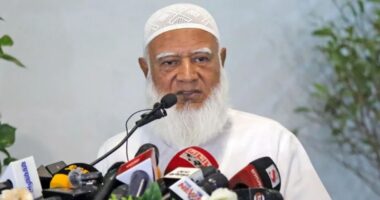 আগামীর রাজনীতি যেনো ফ্যাসিবাদের জন্ম না দেয়: জামায়াত আমির