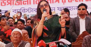 নেতারা আপোষ করে, কর্মীরা না,ইনশাআল্লাহ, বিএনপি সরকার গঠন করবে : রুমিন ফারহানা