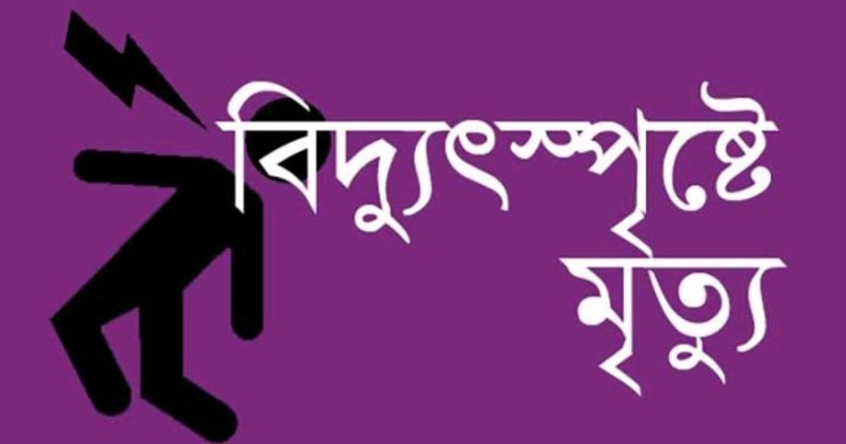 নাটোরের গুরুদাসপুরে বিদ্যুৎপৃষ্ট হয়ে কৃষকের মৃত্যু