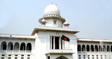 কুমিল্লায় ধর্ষণকাণ্ডের ভুক্তভোগীর ভিডিও-ছবি ২৪ ঘণ্টার মধ্যে অপসারণের নির্দেশ হাইকোর্টের