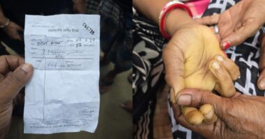 ৬ মাস ধরে হাসপাতালে নেই অ্যান্টিভেনম ,সাপের কামড়ে নারীর মৃত্যু