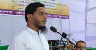 জুলাই গণঅভ্যুত্থান ভারতের চোখ রাঙানি ও দাদাগিরির পতন ঘটিয়েছে : ড. মাসুদ
