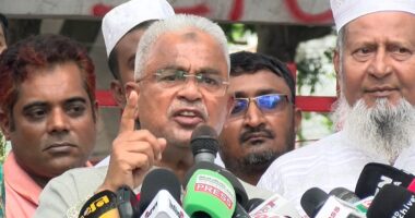 অন্তর্বর্তী সরকার দশ মাসেও আশানুরূপ কিছু দেখাতে পারেননি : সৈয়দ মোয়াজ্জেম