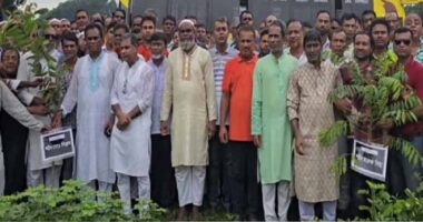 টাঙ্গাইলে শহীদদের স্মরণে কৃষকদলের বৃক্ষ রোপন