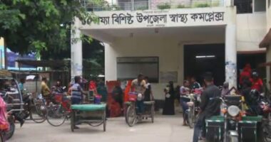 মেহেরপুরে বেড়েছে ডেঙ্গুর প্রকোপ