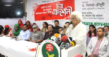 শেখ হাসিনার চাইতে নির্দয় নারী ঘাতক আর হতে পারে না : এবি পার্টি