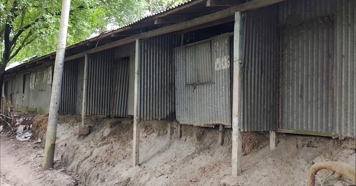 ভূঞাপুরে আশ্রয়ণের নামে আশ্রয়হীনতা