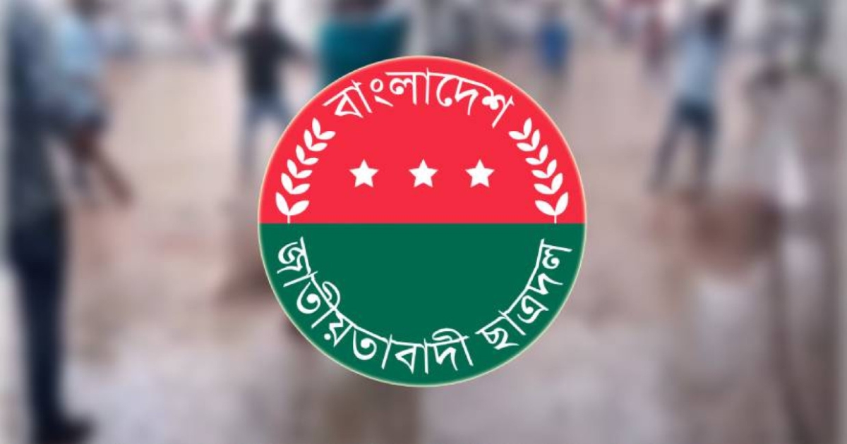 আমরা এমন বাংলাদেশ চাইনি,ক্ষোভে ছাত্রদলের একযোগে পদত্যাগের হিড়িক