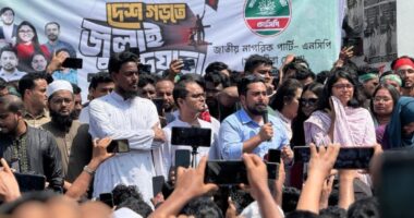 গণঅভ্যুত্থানের শক্তি নিভে যায়নি,এখনো মাঠে আছে : নাহিদ