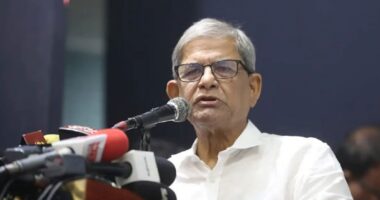 বিএনপিকে এত সহজে তুড়ি মেরে উড়িয়ে দেয়া যাবে না : মির্জা ফখরুল