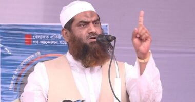 পিন্ডির গোলামির জিঞ্জির ছিন্ন করেছিলাম, দিল্লির দাসত্ব করার জন্য নয় : মামুনুল হক