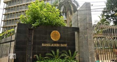 কর্মস্থলে পেশাদার, শালীন ও মার্জিত পোশাক পরতে হবে : বাংলাদেশ ব্যাংক
