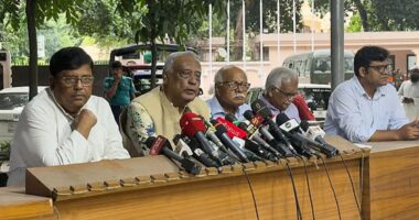 চার-পাঁচ দিনের মধ্যে প্রধান উপদেষ্টা নির্বাচনের তারিখ ঘোষণা করবেন : মোস্তফা জামাল