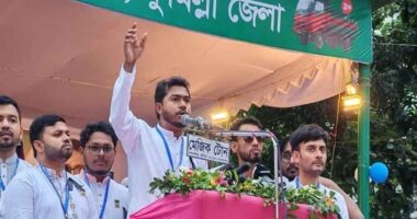 সদ্য জন্মগ্রহণ করা এনসিপি দলকে সরকার পৃষ্ঠপোষকতা করছে : ভিপি নুর