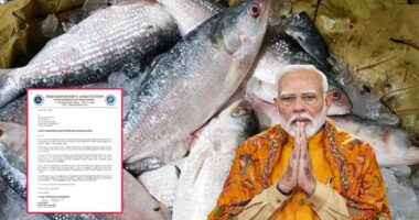 পূজায় ইলিশ ছাড়া ভাবাই যায় না,পদ্মার ইলিশের টানে বাংলাদেশ সরকারের কাছে ভারতের অনুরোধের চিঠি