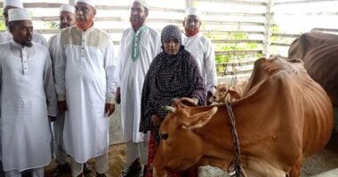 মাগুরায় শিশু আছিয়ার পরিবারের পাশে দাঁড়ালেন জামায়াত আমির, দিলেন গাভী ও গোয়ালঘর