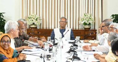 দলীয় প্রতীক ব্যবহার বাতিল করে অধ্যাদেশের খসড়ার চূড়ান্ত অনুমোদন