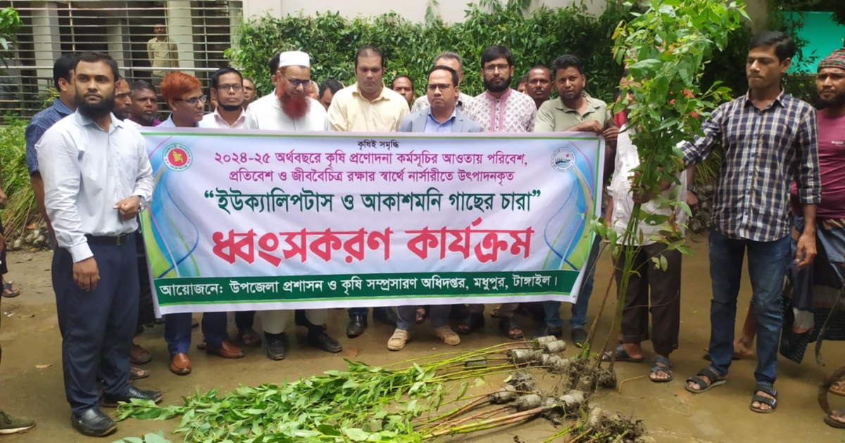 মধুপুরে ৪০ হাজার ইউক্যালিপটাস ও আকাশমনি গাছ ধ্বংস